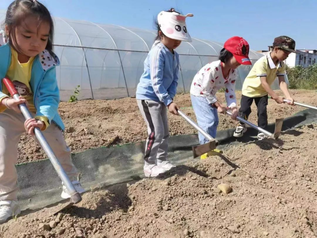 春季穿搭文案_幼儿园春季招生文案_天津对外经济贸易职业学院春季自主招生工作方案