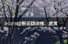 2023山东运动训练、武术与民族传统体育专业文化考试时间