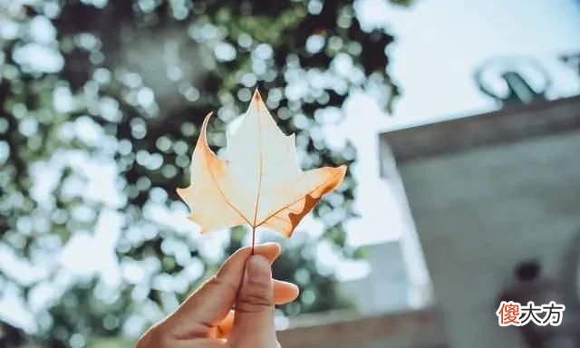 个人开班辅导托管班可以拓展哪些课程内容