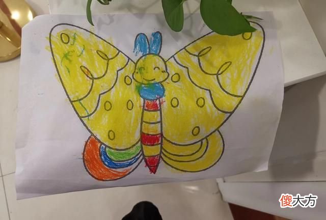 个人开班辅导托管班可以拓展哪些课程内容