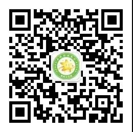 童心托育园_托育中心招生文案_上海华育中学高中招生