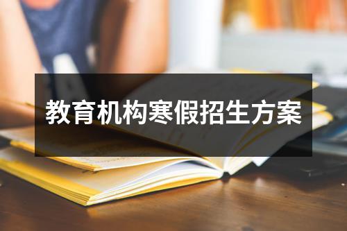 教育机构寒假招生方案