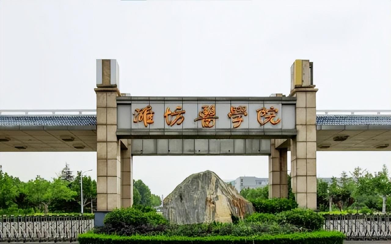 山东财经大学几本招生_南方医科大学专科招生_山东第一医科大学招生计划