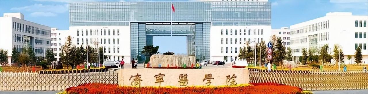 山东第一医科大学招生计划_山东财经大学几本招生_南方医科大学专科招生