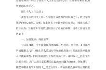 招生办个人工作总结五篇