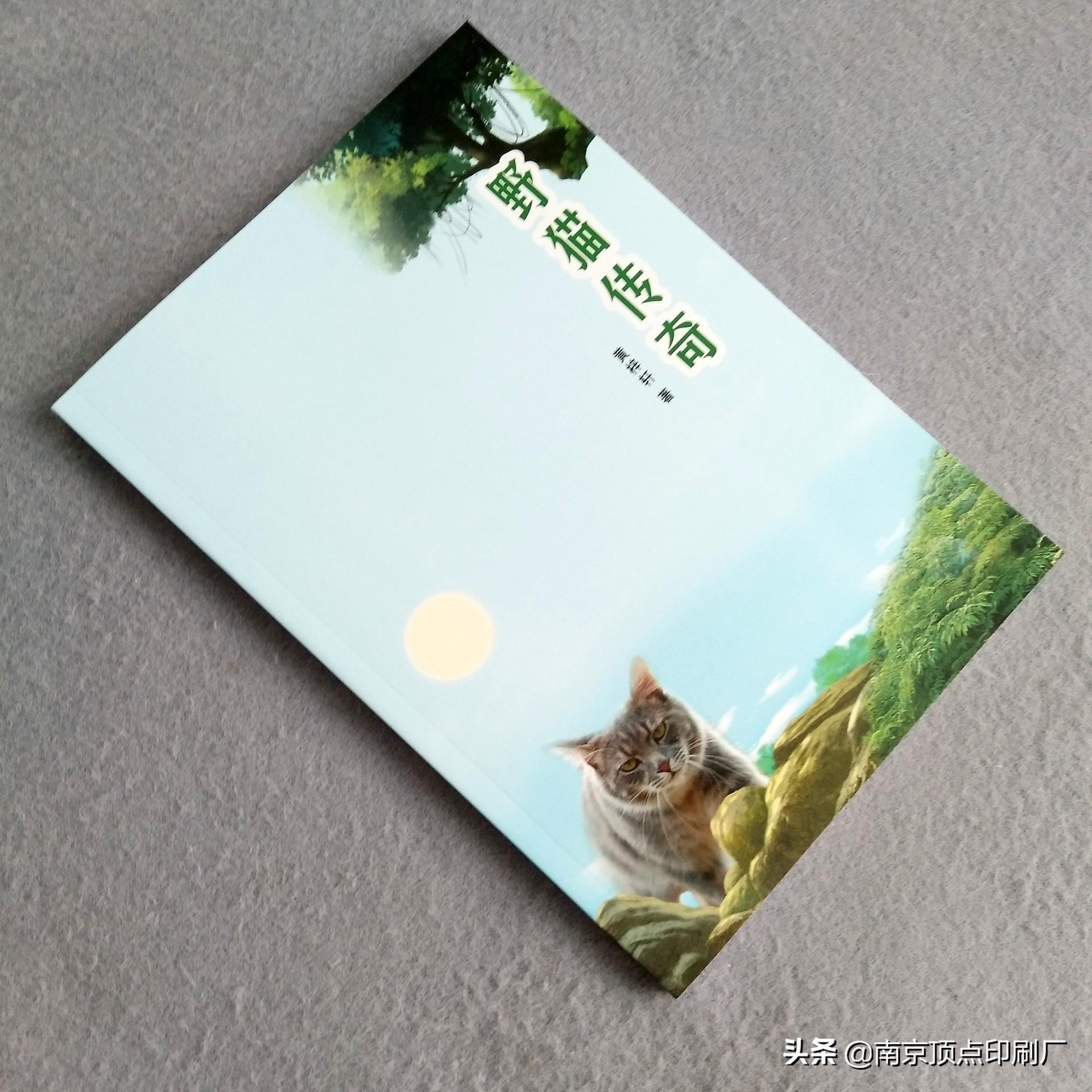 暑期辅导班招生宣传喷绘_大学招生宣传册_培训学校网络宣传招生宝典