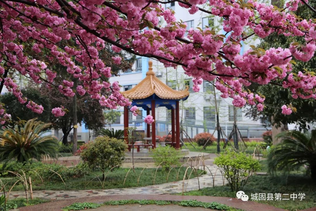 补习班招生方案_琴行暑假班招生方案_小学生托管班招生方案