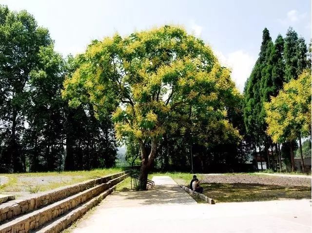 利川思源中学2018招生信息_利川三中是高中吗_利川高中招生计划