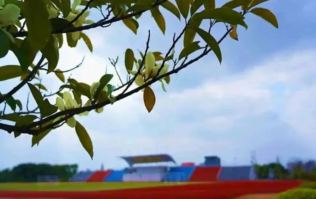国家专项计划招生大学_武汉工程大学大学职业技术学院 单片机教材_苏州职业大学招生计划