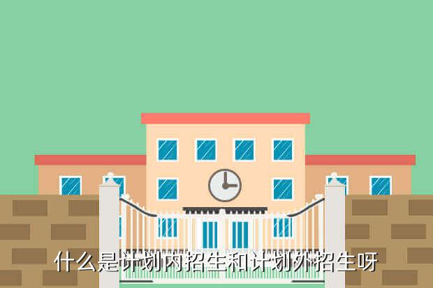 什么是计划内招生和计划外招生呀