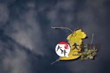 2023年统招专升本和成人自考本科的区别是什么?