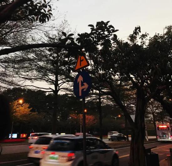 专升本的招生方式_在职专升本方式_上虞专升本网络教育招生的有哪几所学校