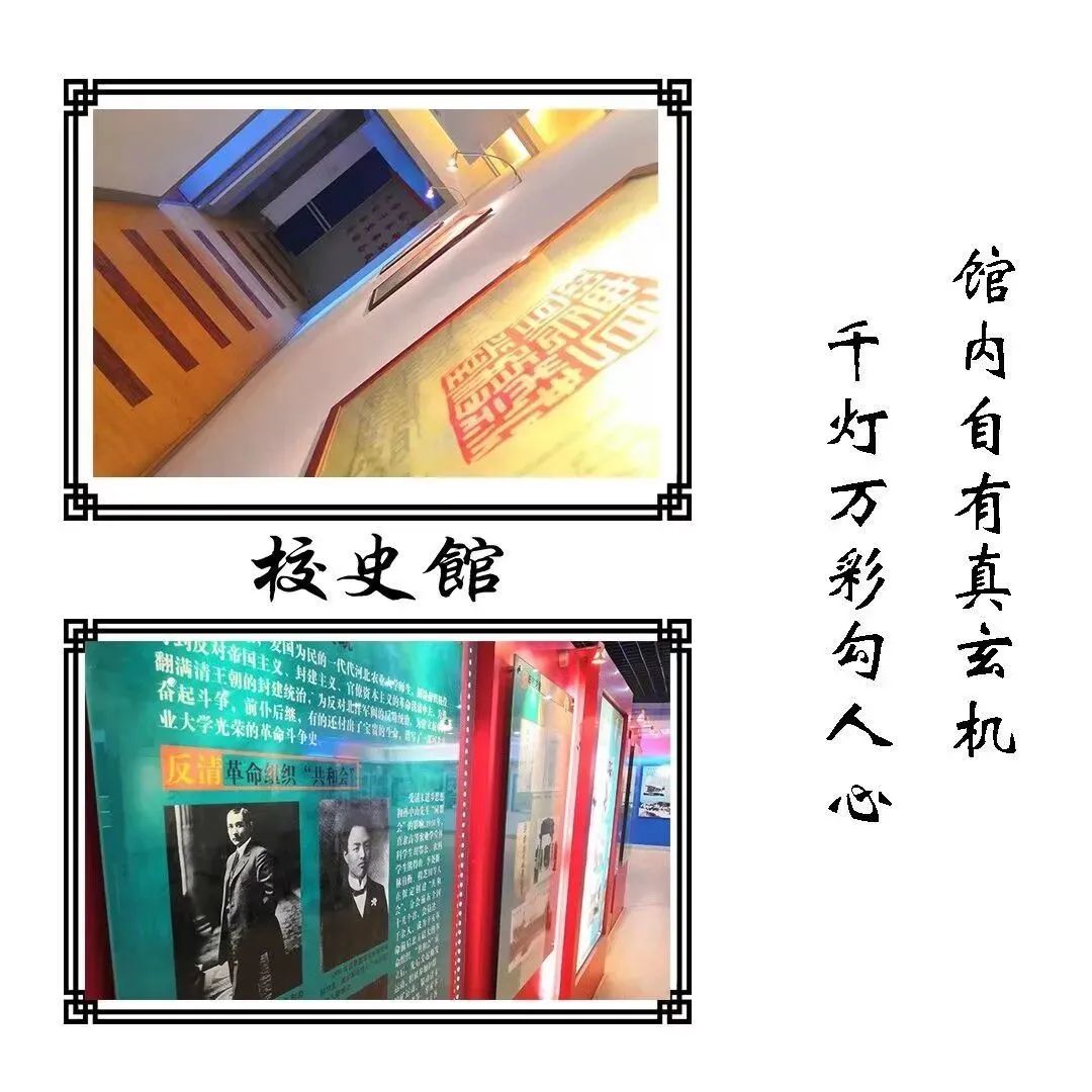 学校招生方案范文_学校社团成立方案_学校社团招生方案