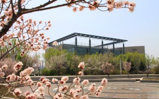 吉林大学,2023播音与主持类专业招生计划,2023吉林大学播音与主持类专业招生计划