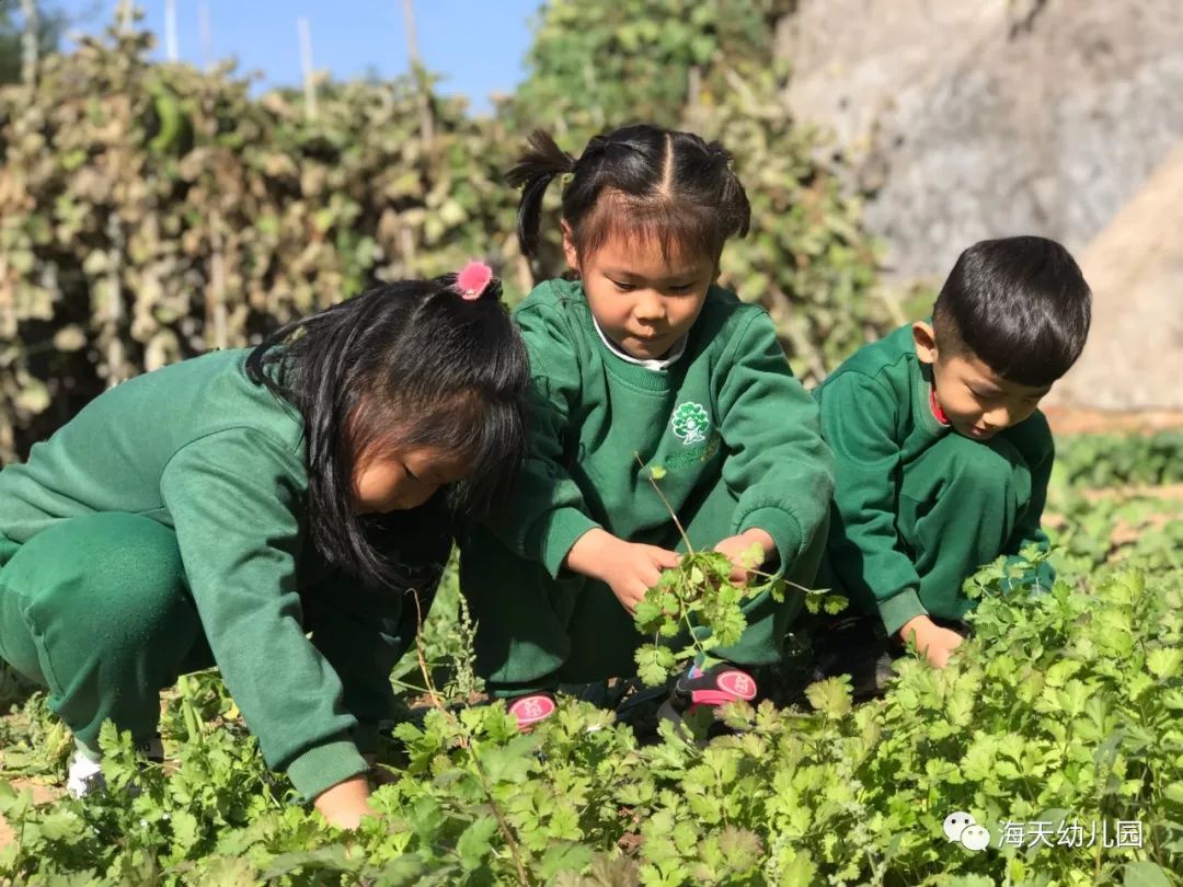 新媒体新闻招生宣传文案_幼儿园春学期教研计划_新学期幼儿园招生宣传