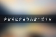 广东专插本最好的前十所大学 哪些学校排名靠前