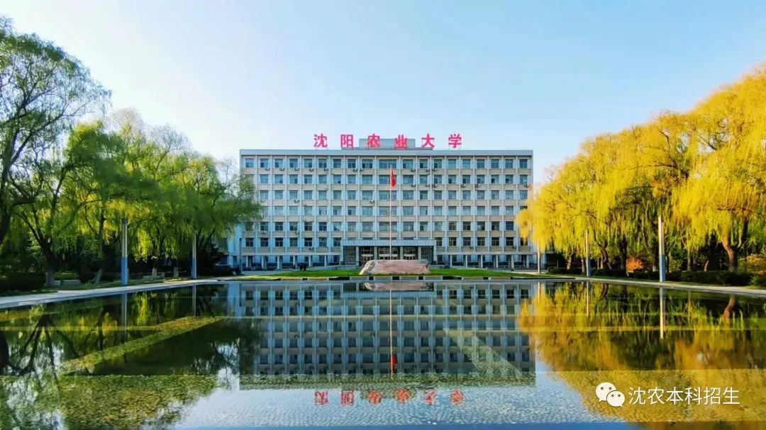 寒假招生宣传海报_寒假辅导班招生海报_寒假 招生宣传
