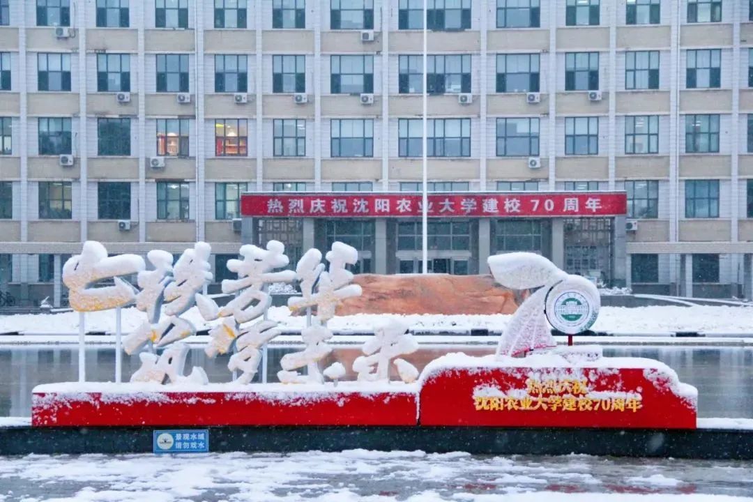 寒假招生宣传海报_寒假 招生宣传_寒假辅导班招生海报