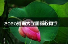 河南大学国际教育学院招生计划及费用