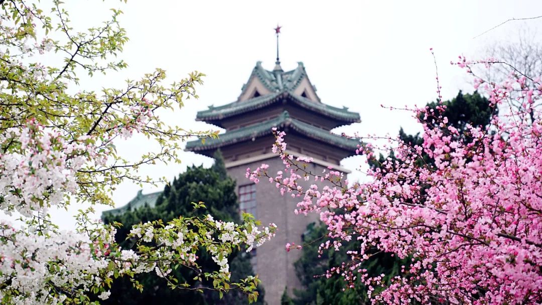 2013年广州市高中高一体育特长生招生方案 棒球_恩施高中浙江大学自主招生农村专项计划条件_高中招生计划方案
