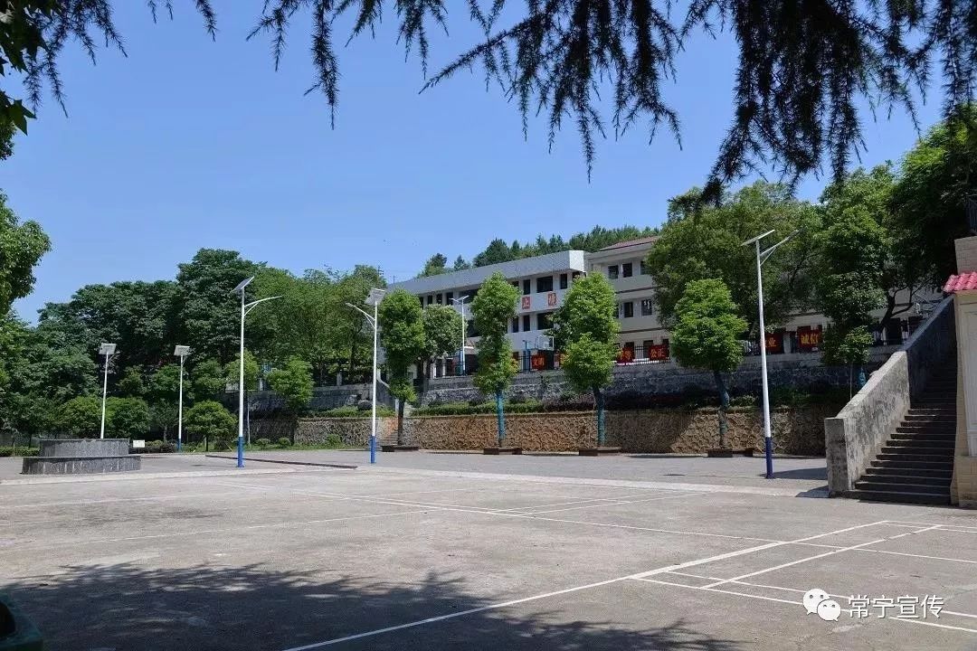 2013年广州市高中高一体育特长生招生方案 棒球_常宁高中招生方案_高中招生办招生方案