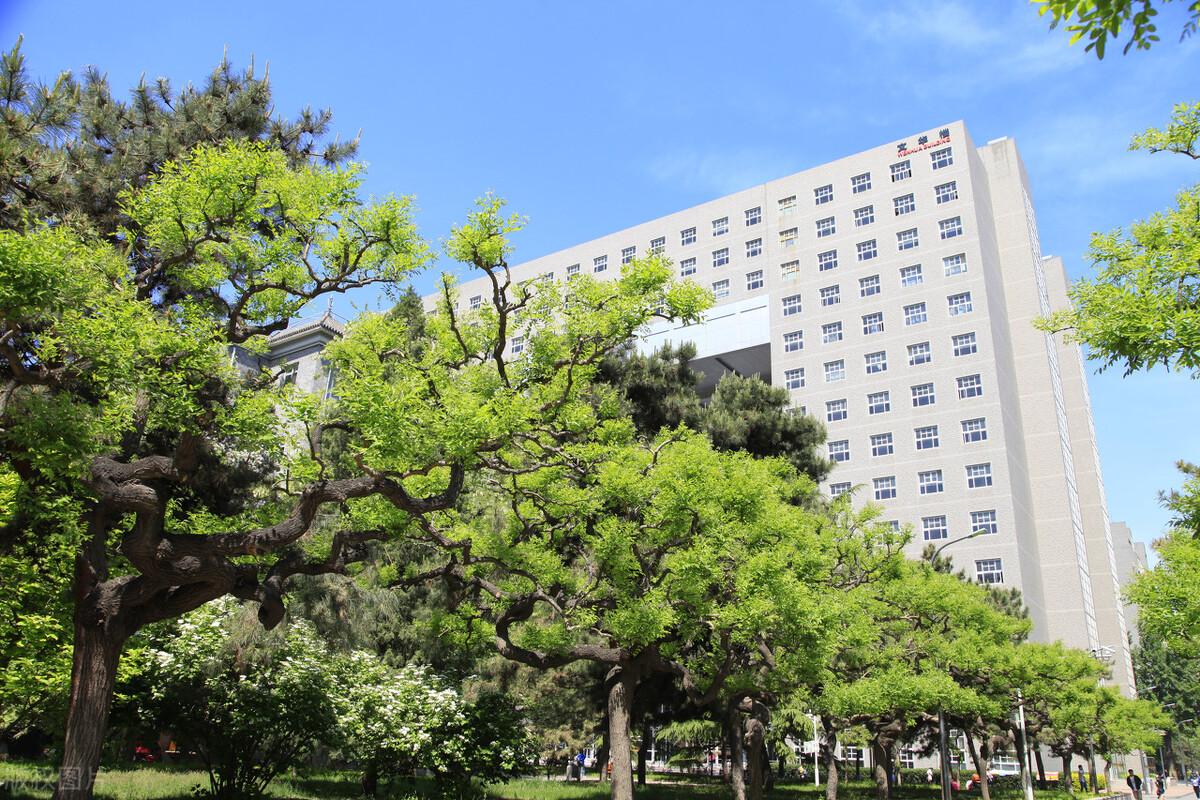 舞蹈学院招生方案_广西河池学院舞蹈招生_招生团队的招生方案