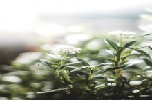 福建有哪些好的卫校 重点卫校排名
