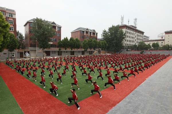 少林武术研究院招生学费