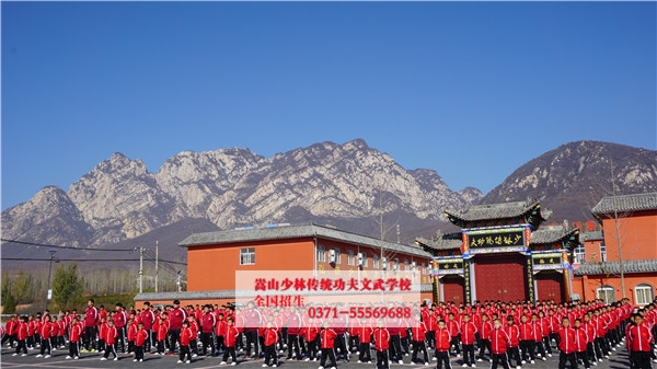 少林武术研究院招生学费