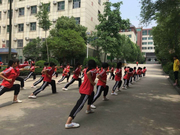 少林武术研究院招生学费