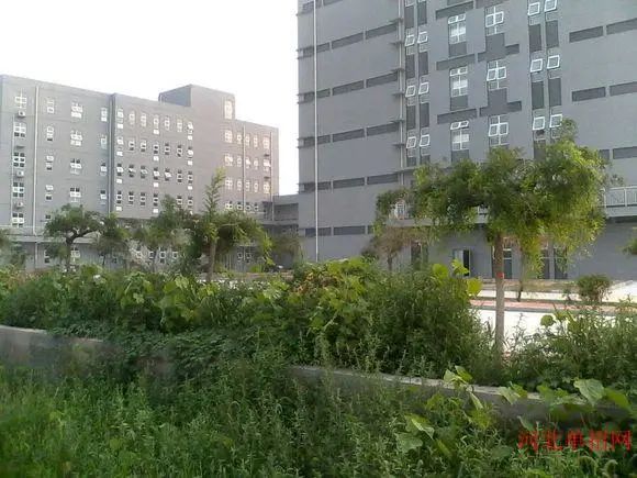 2022河北省美术专科招生计划_2013外省专科在浙江专科招生分数线大致多少_河北美术专科分数线