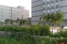 河北高职单招 | 保定幼儿师范高等专科学校2023年单招招生简章